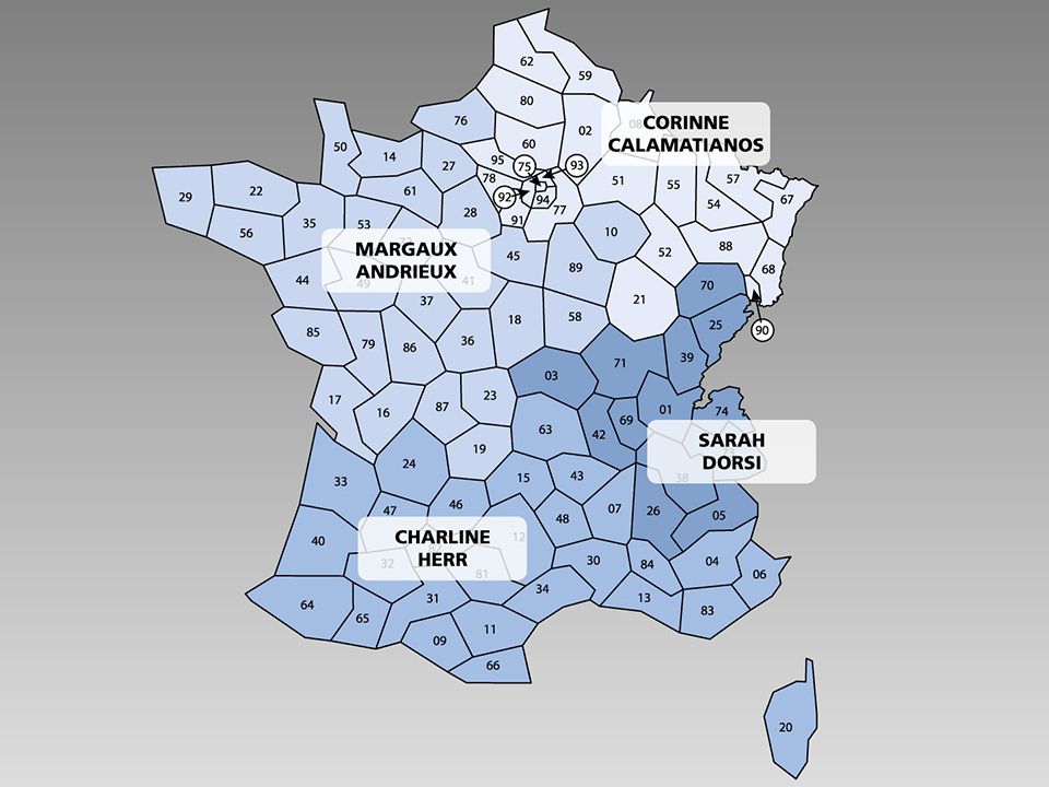 Carte de France avec les secteurs commerciaux du grossiste en pneus IHLE
